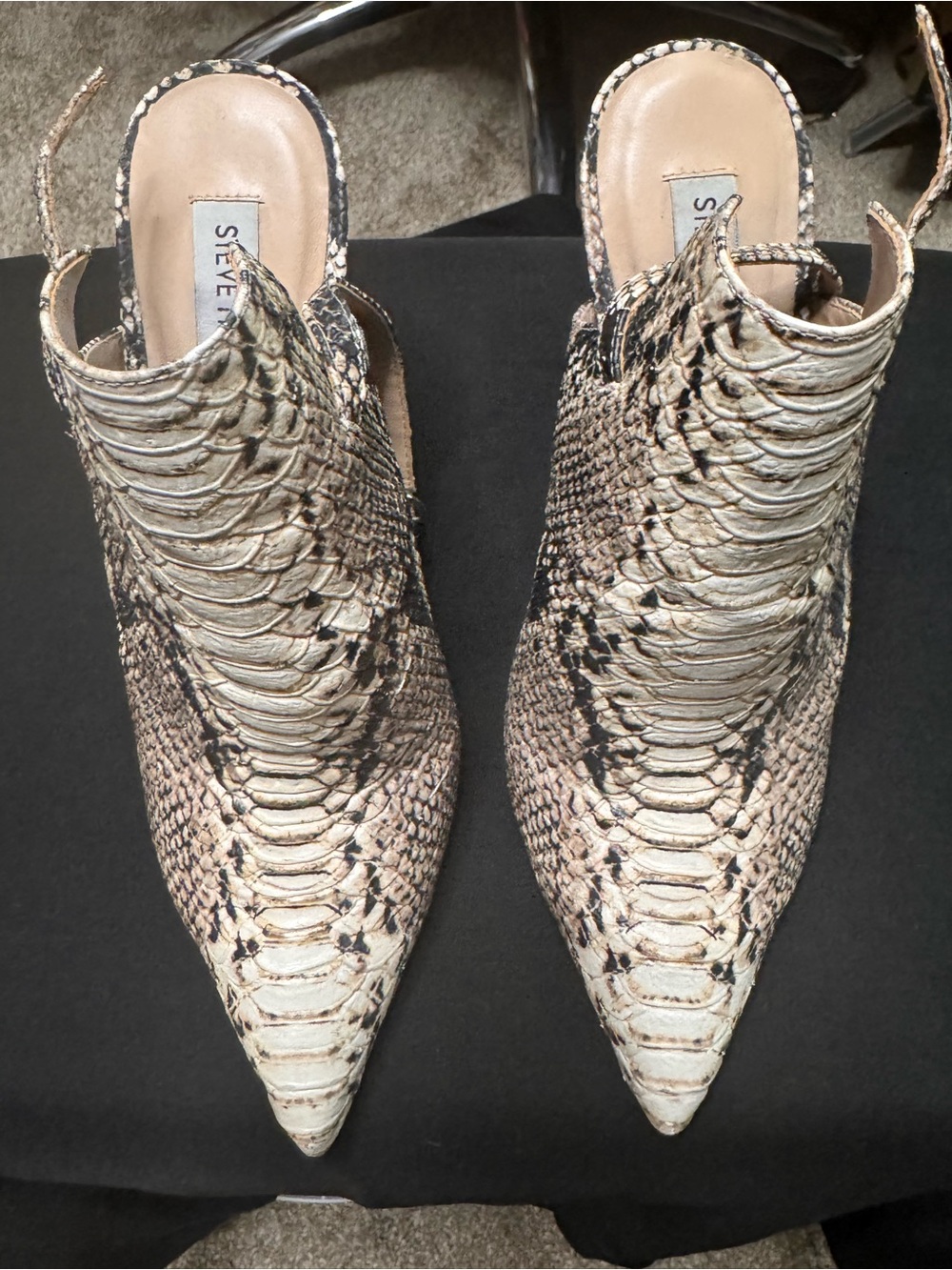 Steve Madden Tan Snake-Print Pointed Toe Mules Gently used
